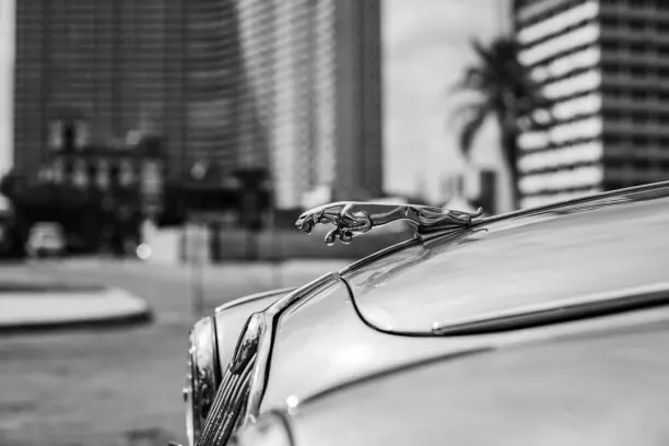 Kaszinó Prize Land Bingo Android/iOS Alkalmazás